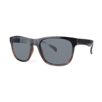 P10624 tortoise wayfarer pc/tr90 sunglasses