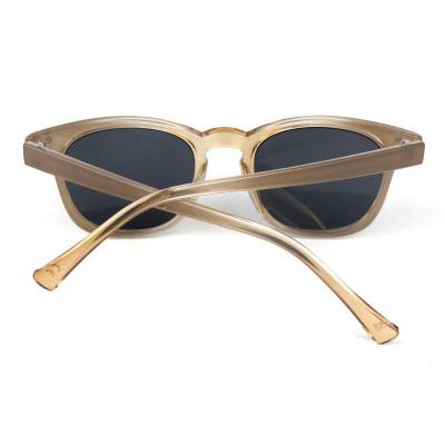 P10596 crystal amber wayfarer pc/tr90 sunglasses