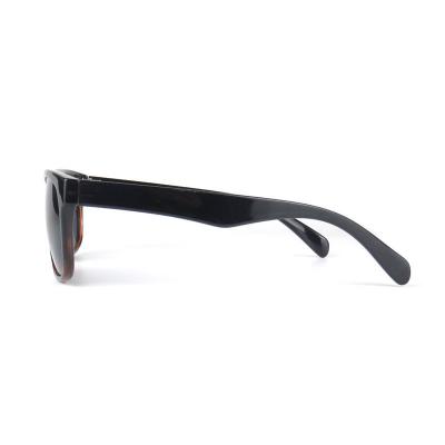 P10624 tortoise wayfarer pc/tr90 sunglasses