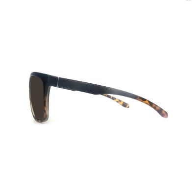 P10676 tortoise square pc/tr90 sunglasses