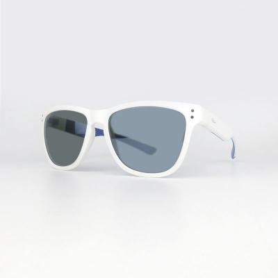 P10665 gray wayfarer pc/tr90 sunglasses
