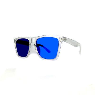 P10667 tortoise square pc/tr90 sunglasses