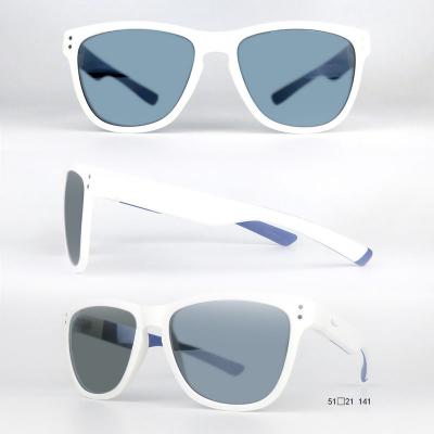 P10665 gray wayfarer pc/tr90 sunglasses
