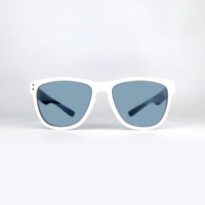 P10665 gray wayfarer pc/tr90 sunglasses