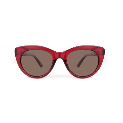 P10704 red cat eye pc/tr90 sunglasses