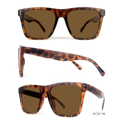 P10667 tortoise square pc/tr90 sunglasses