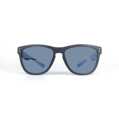 P10665 gray wayfarer pc/tr90 sunglasses