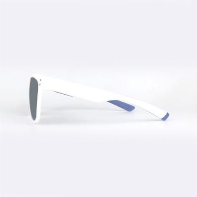 P10665 gray wayfarer pc/tr90 sunglasses