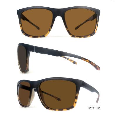P10676 tortoise square pc/tr90 sunglasses