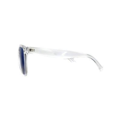 P10667 tortoise square pc/tr90 sunglasses