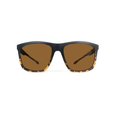 P10676 tortoise square pc/tr90 sunglasses