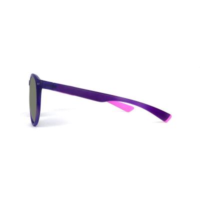 P10670 tortoise round pc/tr90 sunglasses