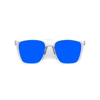 P10667 tortoise square pc/tr90 sunglasses