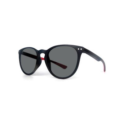 P10669 tortoise panto round pc/tr90 sunglasses