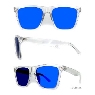 P10667 tortoise square pc/tr90 sunglasses