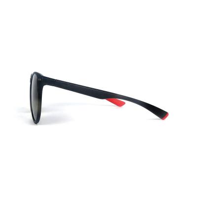 P10669 tortoise panto round pc/tr90 sunglasses