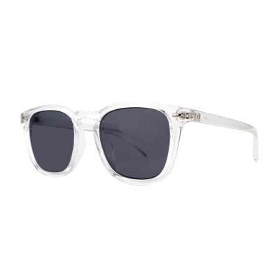 P10455 clear/crystal transparent wayfarer pc/tr90 sunglasses