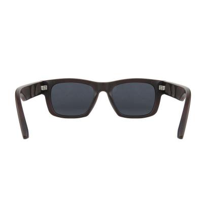 P10138 dark brown wayfarer pc/tr90 sunglasses