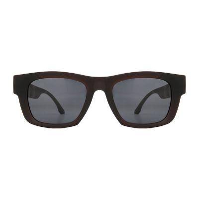 P10138 dark brown wayfarer pc/tr90 sunglasses