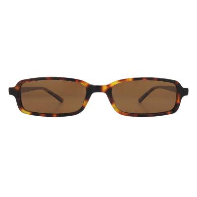 A11030 tortoise oval acetate sunglasses