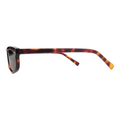 A11029 tortoise oval acetate sunglasses