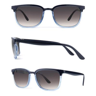 P10557 navy/black and translucent light blue (two-tone) wayfarer pc/tr90 sunglasses