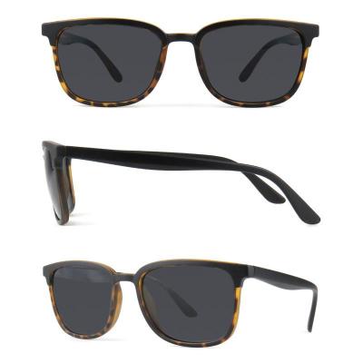 P10557 navy/black and translucent light blue (two-tone) wayfarer pc/tr90 sunglasses