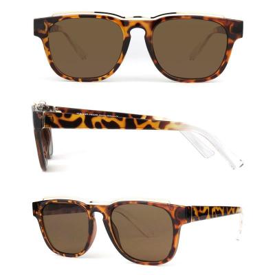 P10550 black wayfarer pc/tr90 sunglasses