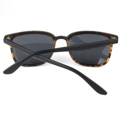 P10557 navy/black and translucent light blue (two-tone) wayfarer pc/tr90 sunglasses