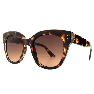 P10631 tortoiseshell cat eye pc/tr90 sunglasses
