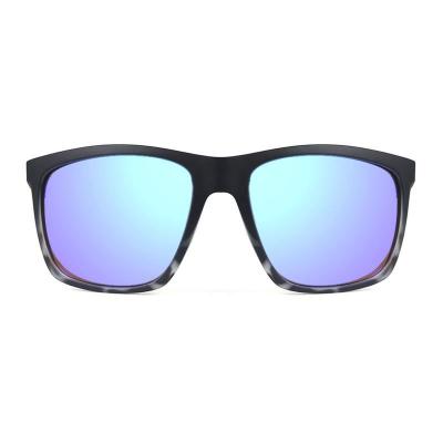 P10684 black with tortoiseshell gradient wayfarer pc/tr90 sunglasses
