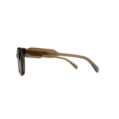 A11073 crystal brown square acetate sunglasses