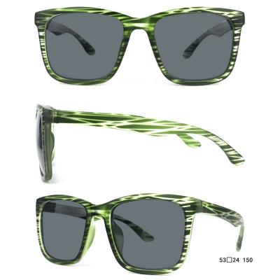 P10682 green tortoiseshell wayfarer pc/tr90 sunglasses