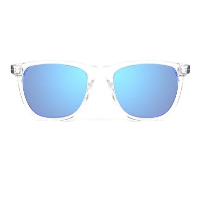 P10689 clear/transparent wayfarer pc/tr90 sunglasses