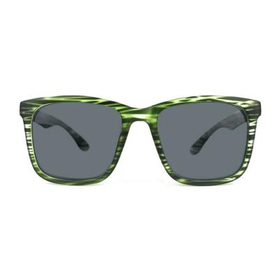 P10682 green tortoiseshell wayfarer pc/tr90 sunglasses