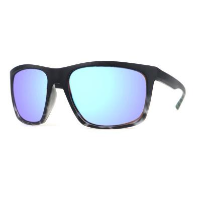 P10684 black with tortoiseshell gradient wayfarer pc/tr90 sunglasses