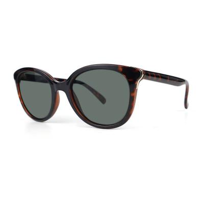 P10691 tortoiseshell cat eye pc/tr90 sunglasses