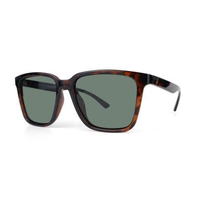 P10692 tortoiseshell wayfarer pc/tr90 sunglasses