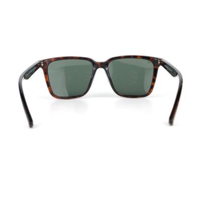 P10692 tortoiseshell wayfarer pc/tr90 sunglasses