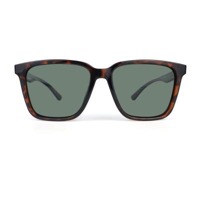 P10692 tortoiseshell wayfarer pc/tr90 sunglasses