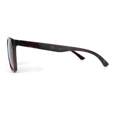P10692 tortoiseshell wayfarer pc/tr90 sunglasses
