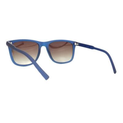 P10700 blue wayfarer pc/tr90 sunglasses