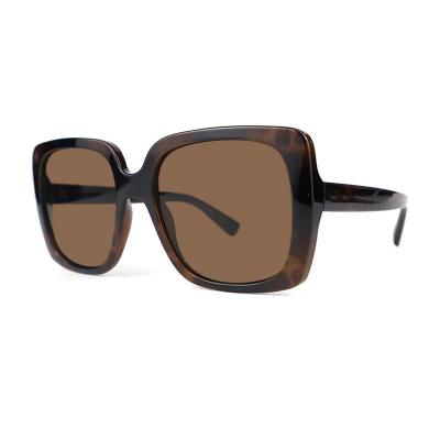 P10696 tortoiseshell / havana brown square pc/tr90 sunglasses