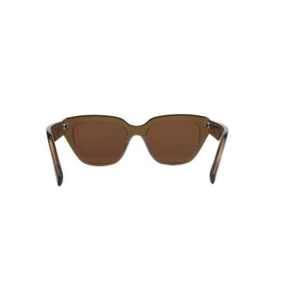 A11081 crystal brown cat eye acetate sunglasses