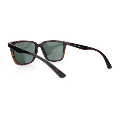 P10692 tortoiseshell wayfarer pc/tr90 sunglasses
