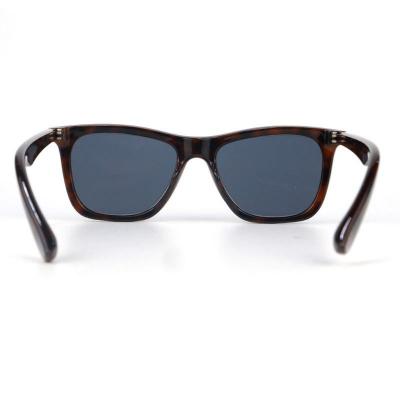 P10732 tortoiseshell (brown/amber) wayfarer pc/tr90 sunglasses