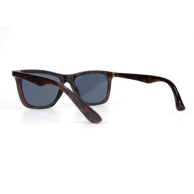 P10732 tortoiseshell (brown/amber) wayfarer pc/tr90 sunglasses