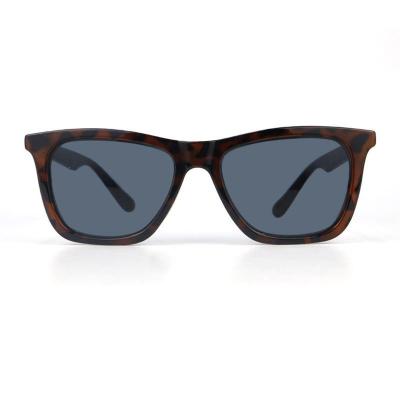 P10732 tortoiseshell (brown/amber) wayfarer pc/tr90 sunglasses