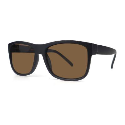 P10727 black wayfarer pc/tr90 sunglasses