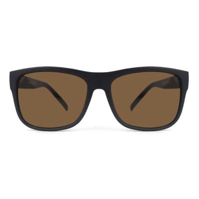 P10727 black wayfarer pc/tr90 sunglasses